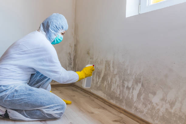 Bathroom Mold Removal assessment in Springs bathroom